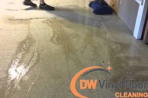 minimize-water-usage-diy-terrazzo-floor-cleaning-tips-and-techniques-for-a-sparkling-clean-floor-terrazzo-floor-cleaning-dw-vinyl-floor-cleaning-singapore